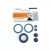 Sada těsnění tandemového válce Avia 30,31